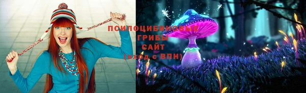ГАЛЛЮЦИНОГЕННЫЕ ГРИБЫ Зеленокумск