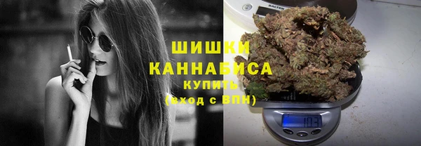 стаф Зеленодольск