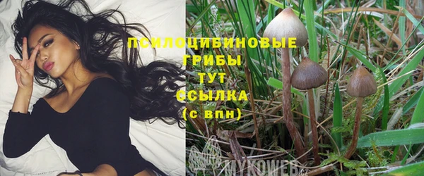 стаф Зеленодольск
