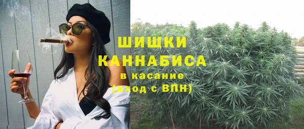 стаф Зеленодольск